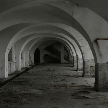vault roof protective covering covering architecture building old