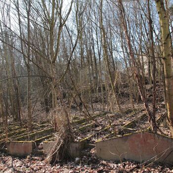 Gartenarbeit ab 1940