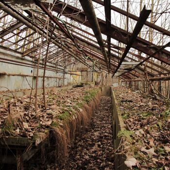 Gartenarbeit ab 1940