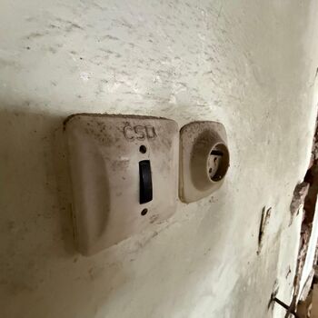 Aunt Omega, or I Believe in Fairies