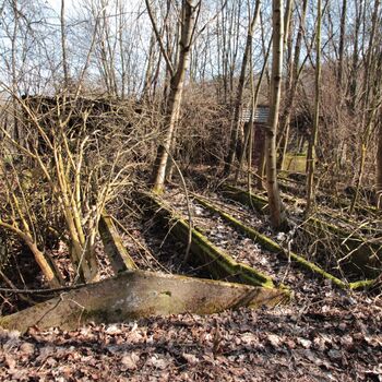 Gartenarbeit ab 1940