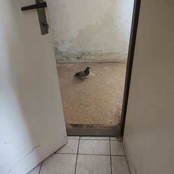 Bahnhof Jihlava Stadt_2024 Bahnhof Jihlava Stadt_2024