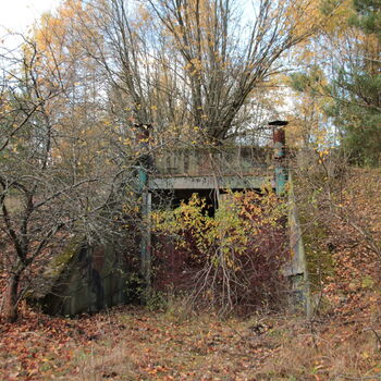 VEGA Group VEGA Group