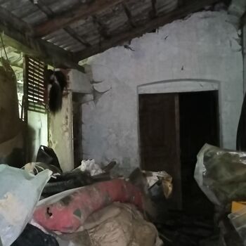 Spitzenschiff 9z10ti...