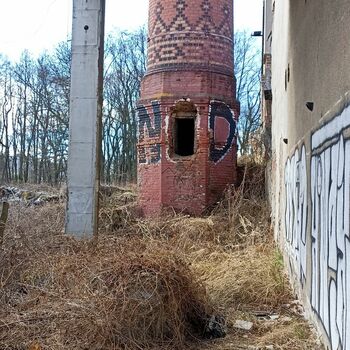 Lederfabrik und State Farm 2022