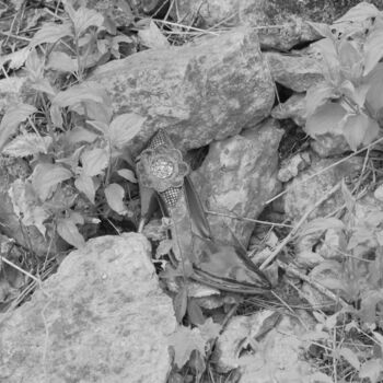 Verlassene Villa Prag. Verlassene Villa Prag.