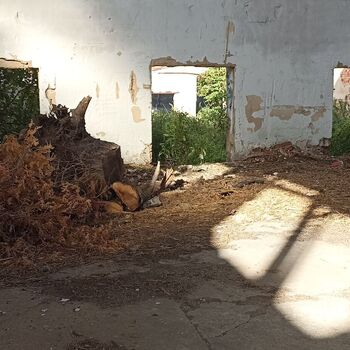 Agricultural area 2023