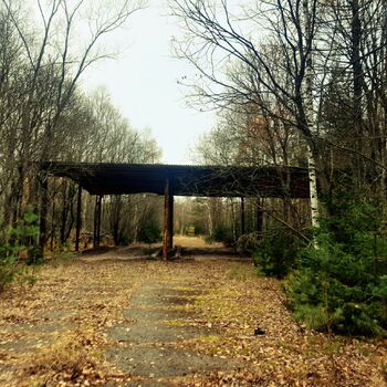 strom stodola krajina