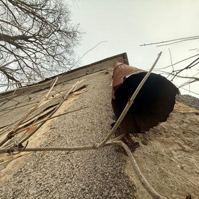 Aunt Omega, or I Believe in Fairies