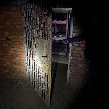 hory, DOLY, černý pes