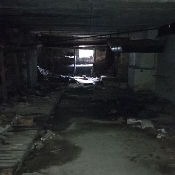 Ocelárny Julia 2023