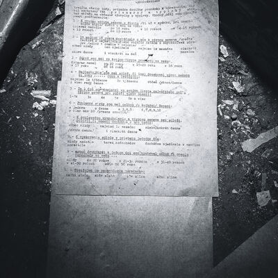 Psychiatric hospital