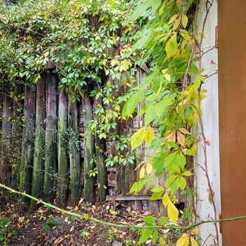 Dům v Praze obklopen šípky.