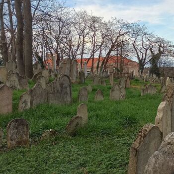 Jüdischer Friedhof 2024