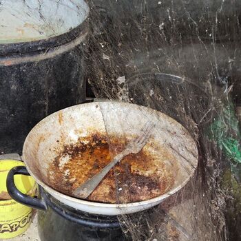 Abandoned farm building_2025