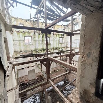 Kde holubi chodí pěšky