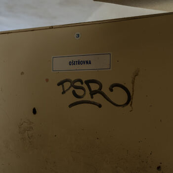 Ich habe gehört, es sei ein Krankenhaus für geistig behinderte Kinder.