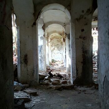 Trezor Buňka střecha Architektura ochranný kryt staré budova starověké