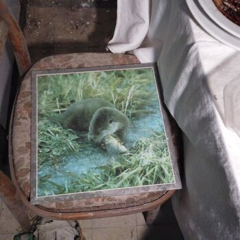 Urbex - Krysi-Schloss 2024