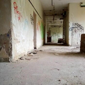 staré Architektura budova sgrafity staré Architektura budova sgrafity