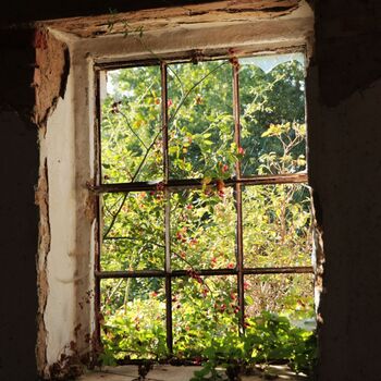 Landwirtschaftliche Fläche mit Hopfentrocknungsanlage 2023