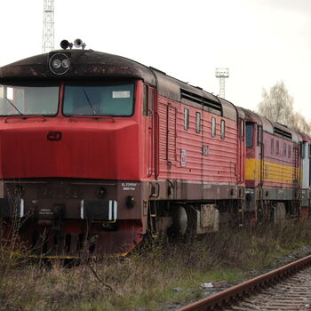 Bardotková Bardotková