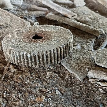 Spinning and weaving mill 2022