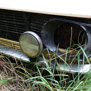 Už asi nevyjedou...