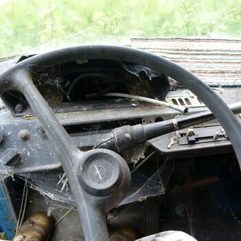 Už asi nevyjedou...