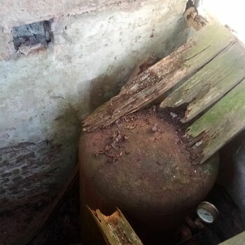 Abandoned cowshed and small abandoned plot 2021