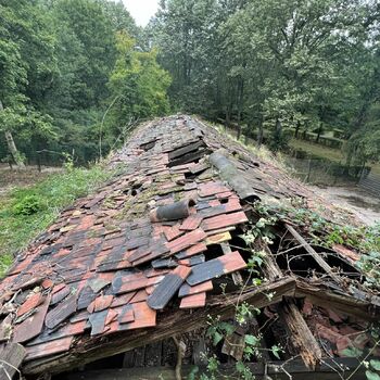 Krematorium Deutschland 2022