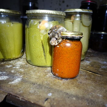 Chaloupka u skleněného ÚDU