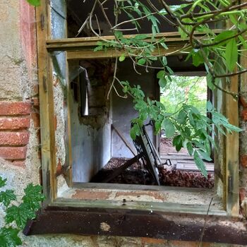 The disappearing sawmill