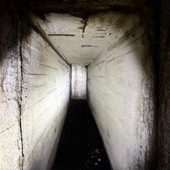 Die Geheimtür ist entdeckt worden...