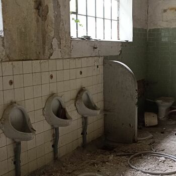 WC Zimmer Bad WC Zimmer Bad