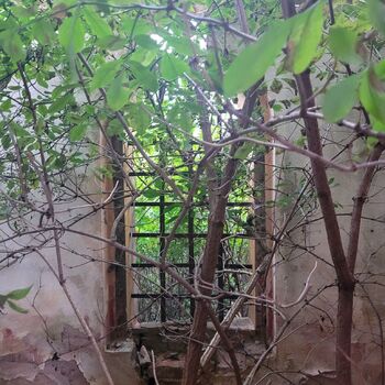 In the Sudetenland above a small village.