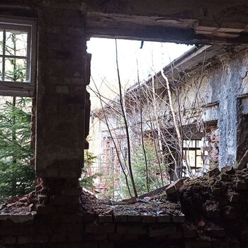 Ocelárny Julia 2023