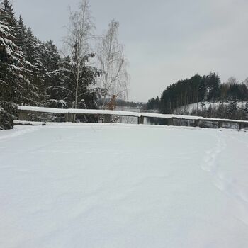 sníh počasí zima studené krajina LED Les stromy svah sezona mráz