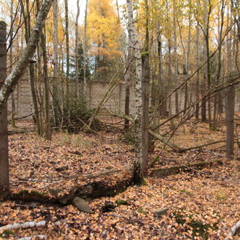 VEGA Group VEGA Group