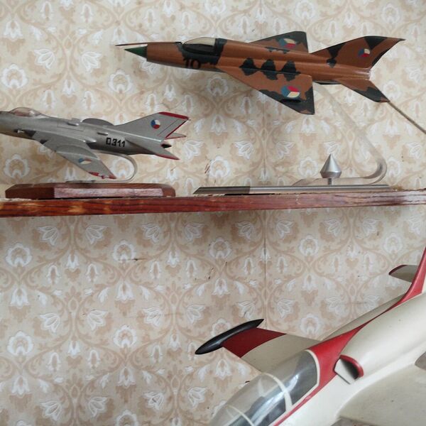 The house of a militiaman and an airman