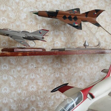 The house of a militiaman and an airman The house of a militiaman and an airman