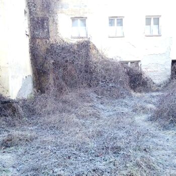 Urbex - Krysi-Schloss 2024