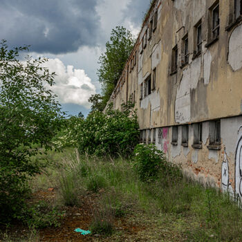 Landwirtschaftliche Fläche
