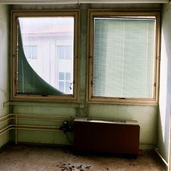 room window window shade interior window blind