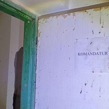 sheepfold - dead animals