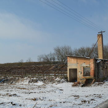 Building with greenhouses Building with greenhouses