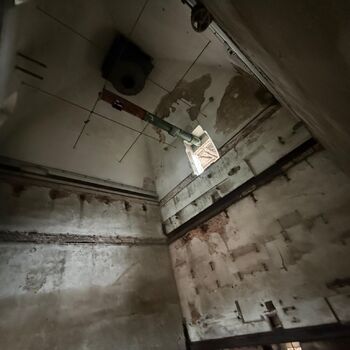 Kde holubi chodí pěšky