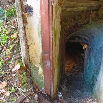 TOTÁLKA - GASTHAUS ZU DEN HASEN