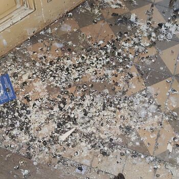 Bahnhof Jihlava Stadt_2024 Bahnhof Jihlava Stadt_2024