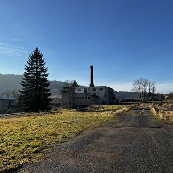 Timber production 2023